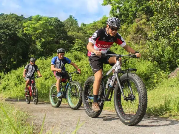 Three cyclists on mountain bikes riding on a dirt trail surrounded by greenery.