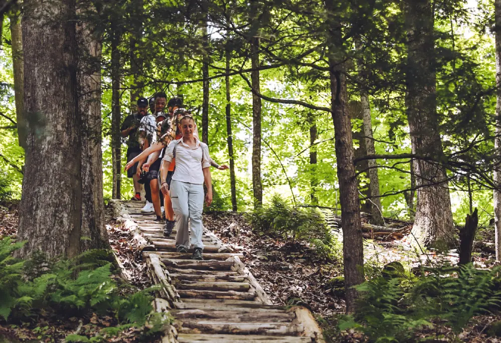 Hike & Waterfalls